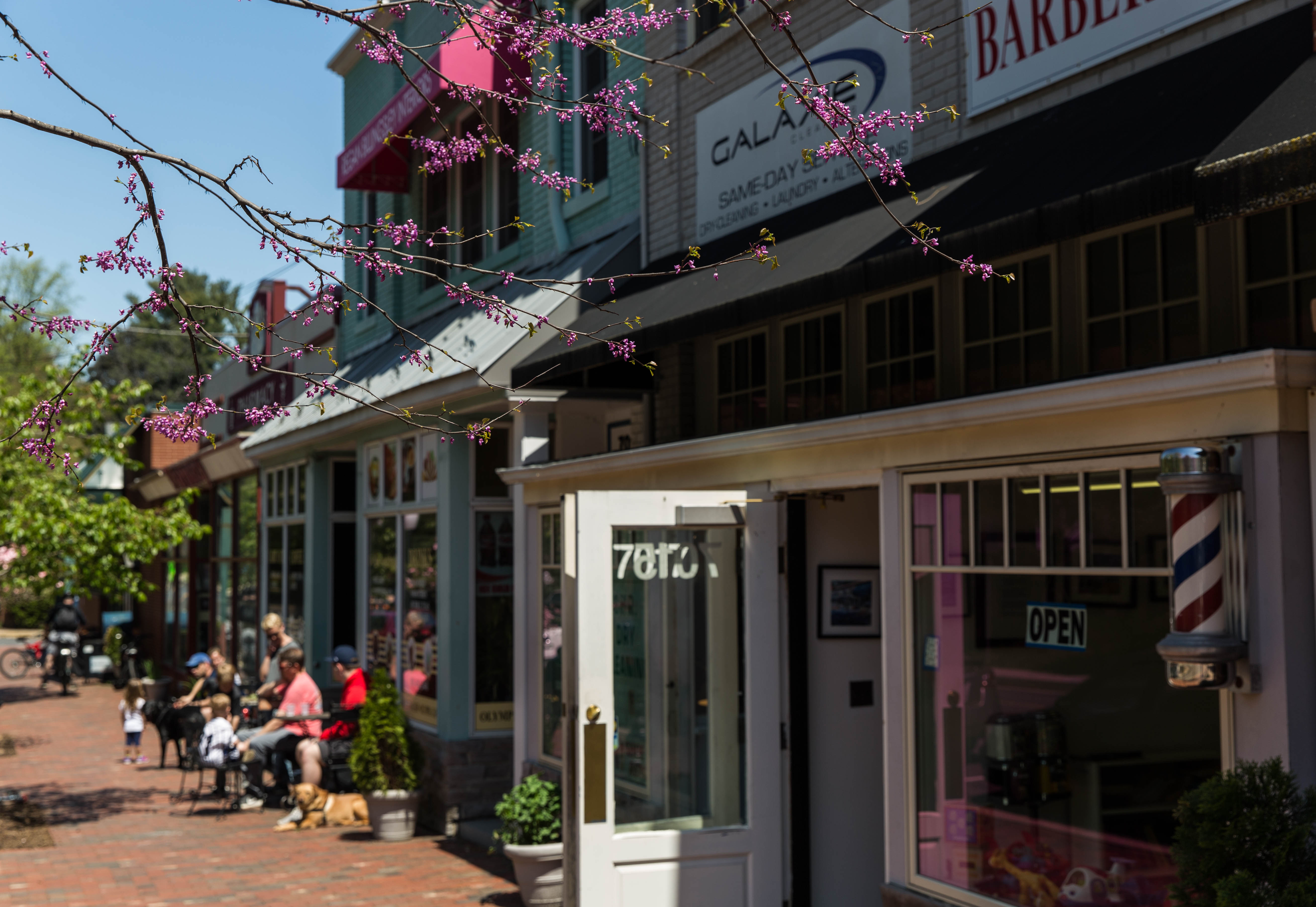 Chevy Chase Neighborhood Guide: What to Do, Where to Go, & More